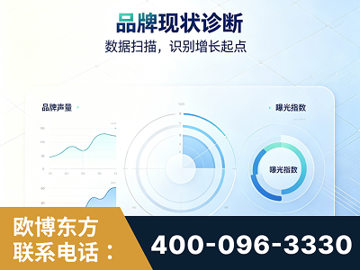 黔南布依族-品牌现状诊断