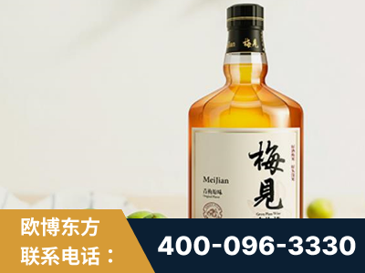 黔南布依族-梅见青梅酒